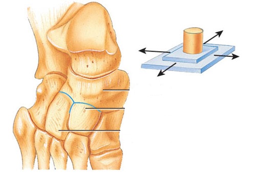 mijloace de inserție în articulația genunchiului